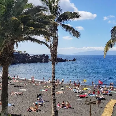 Daire Sunflower Ocean View *